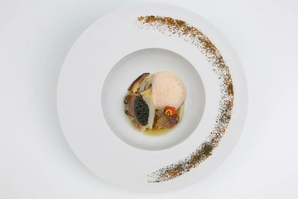 Assiette gastronomique dressée sur fond blanc